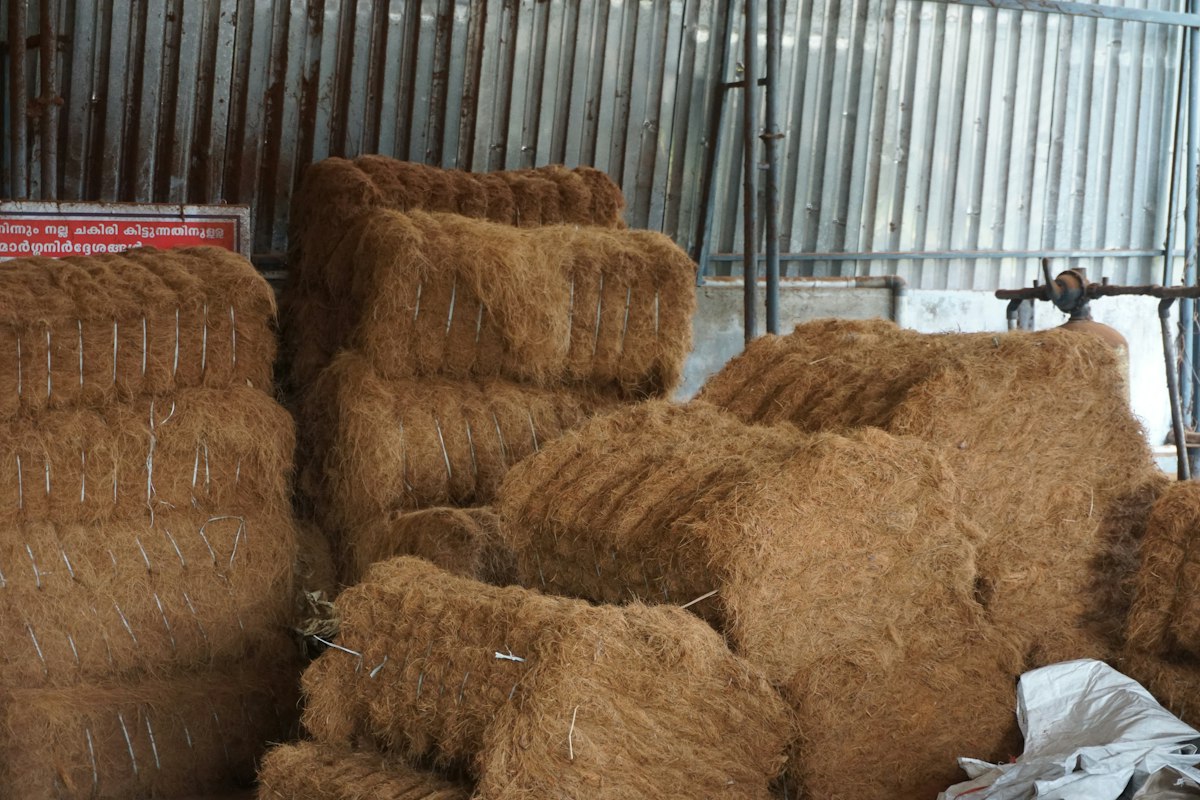 Warehouse stacked with processed coir fiber bales