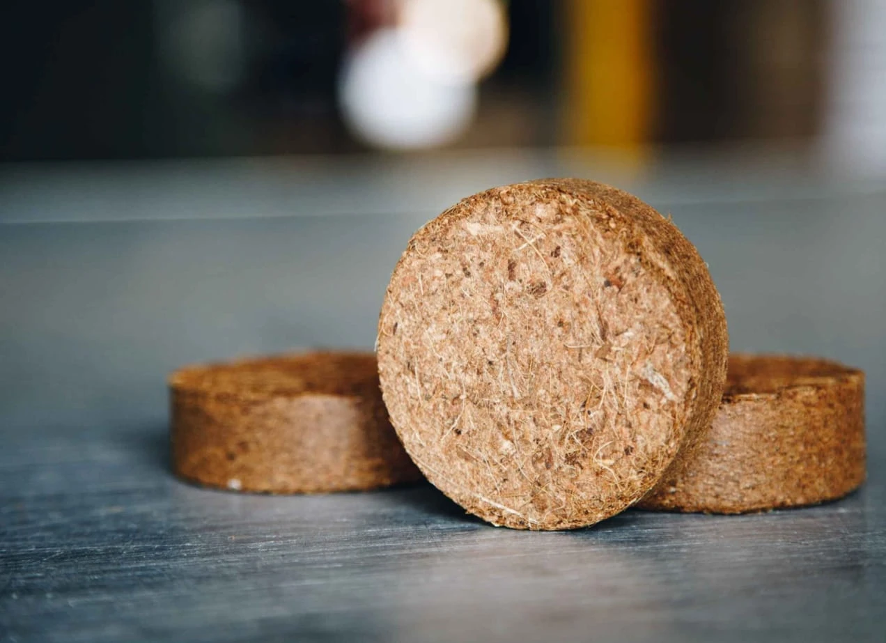 Coco peat discs